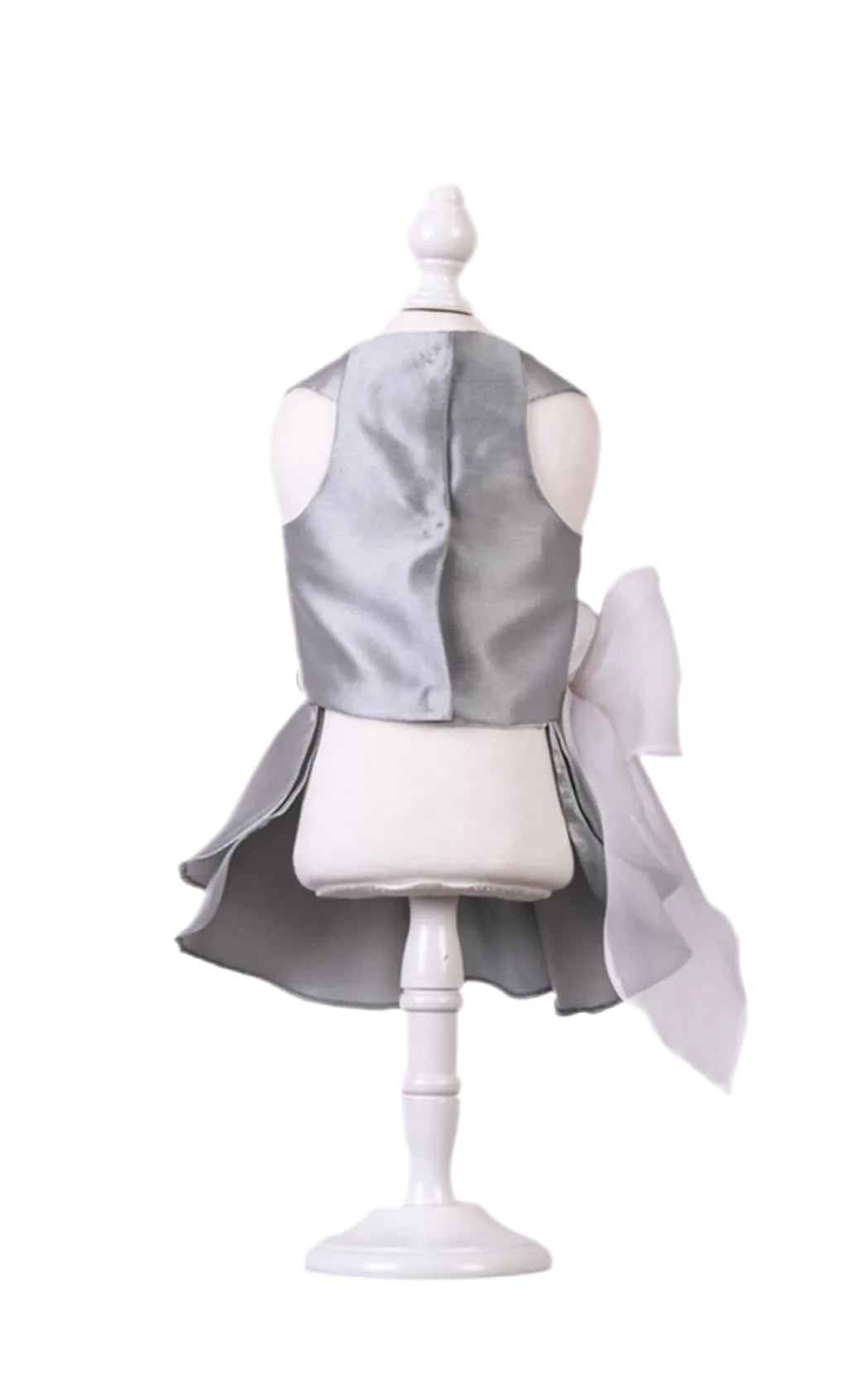 Aurora chic Dress