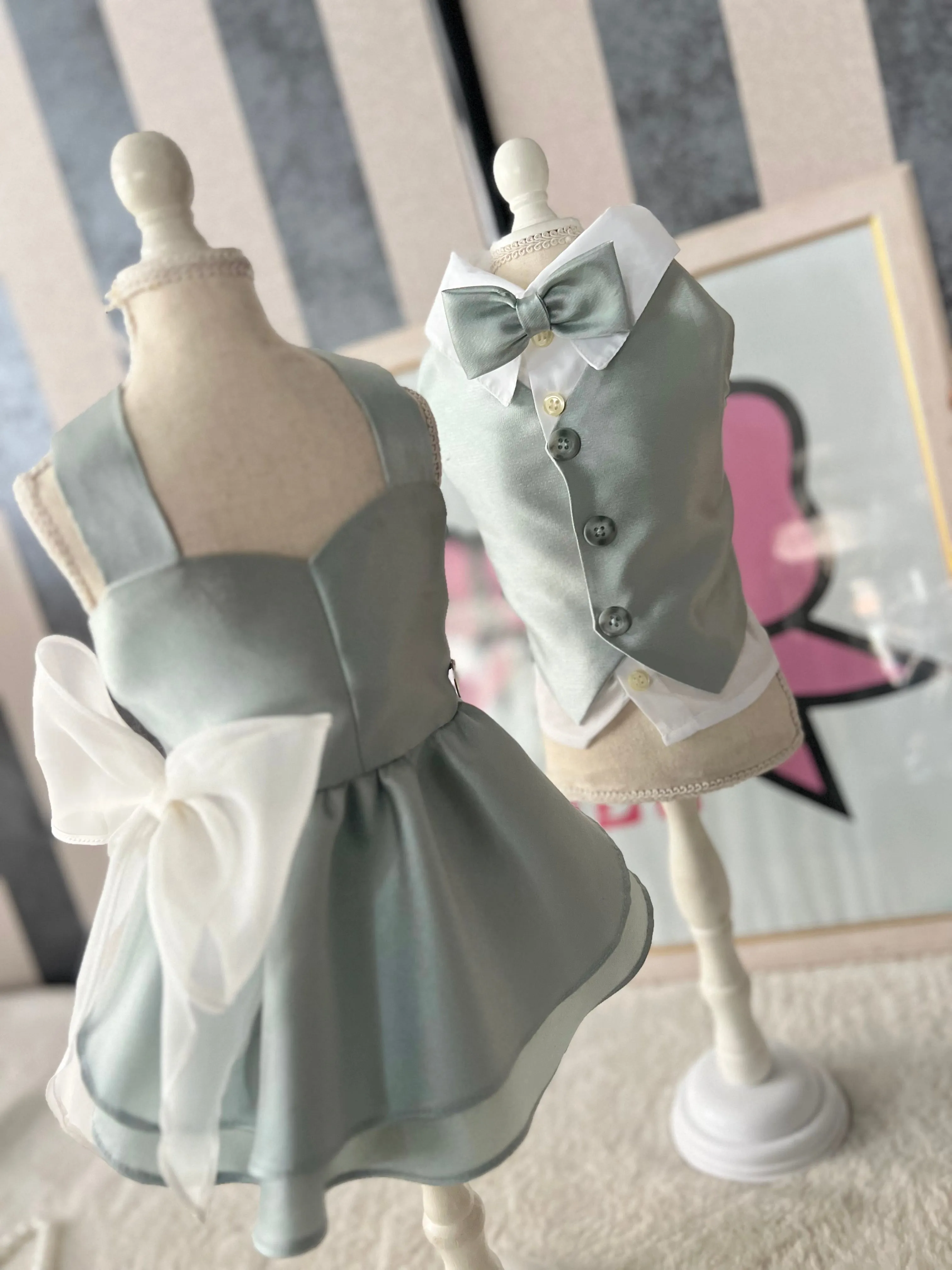 Aurora chic Dress