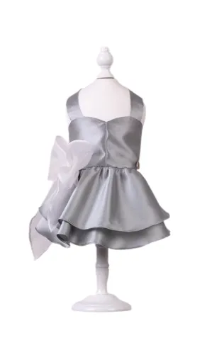 Aurora chic Dress