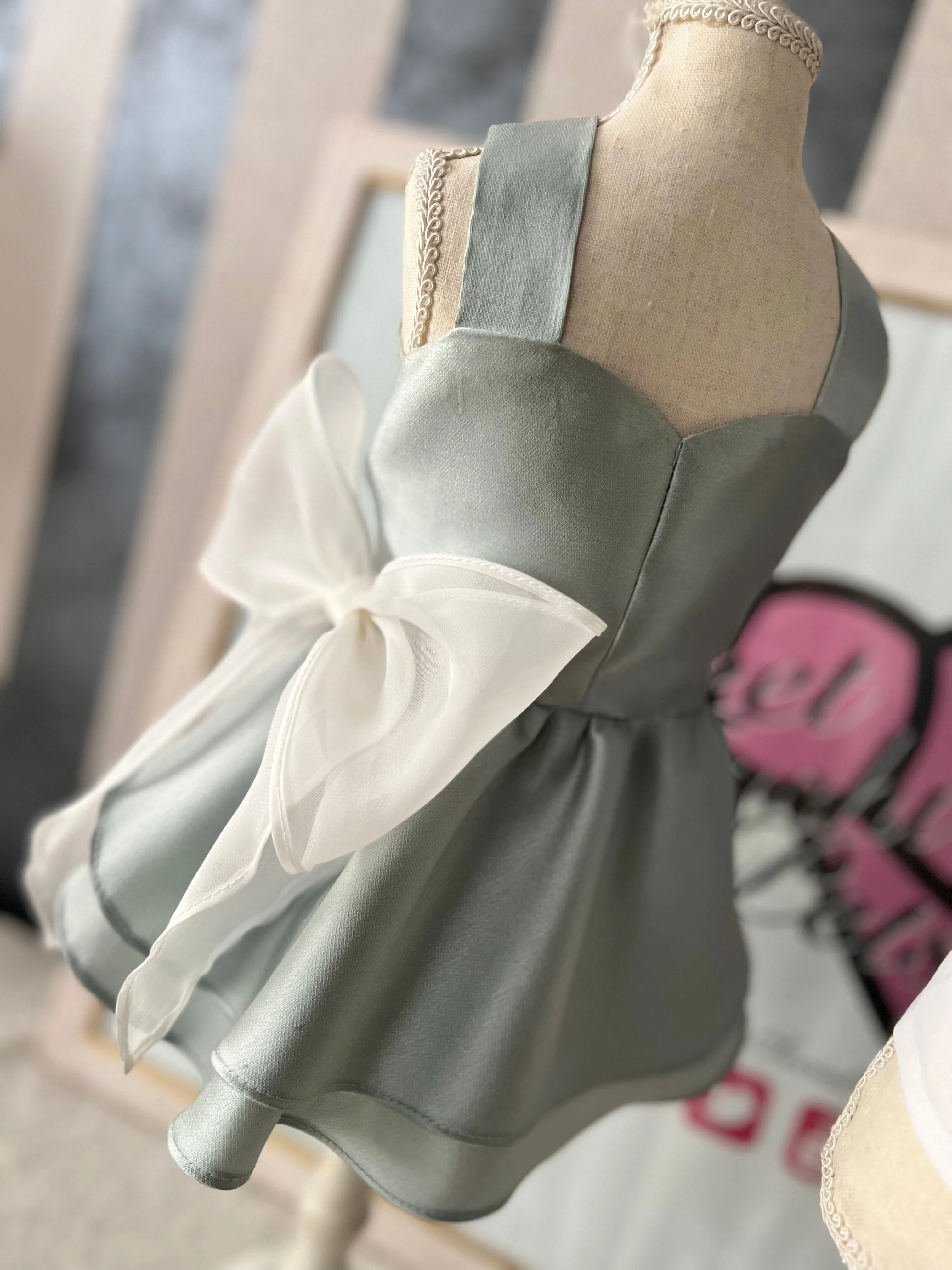 Aurora chic Dress