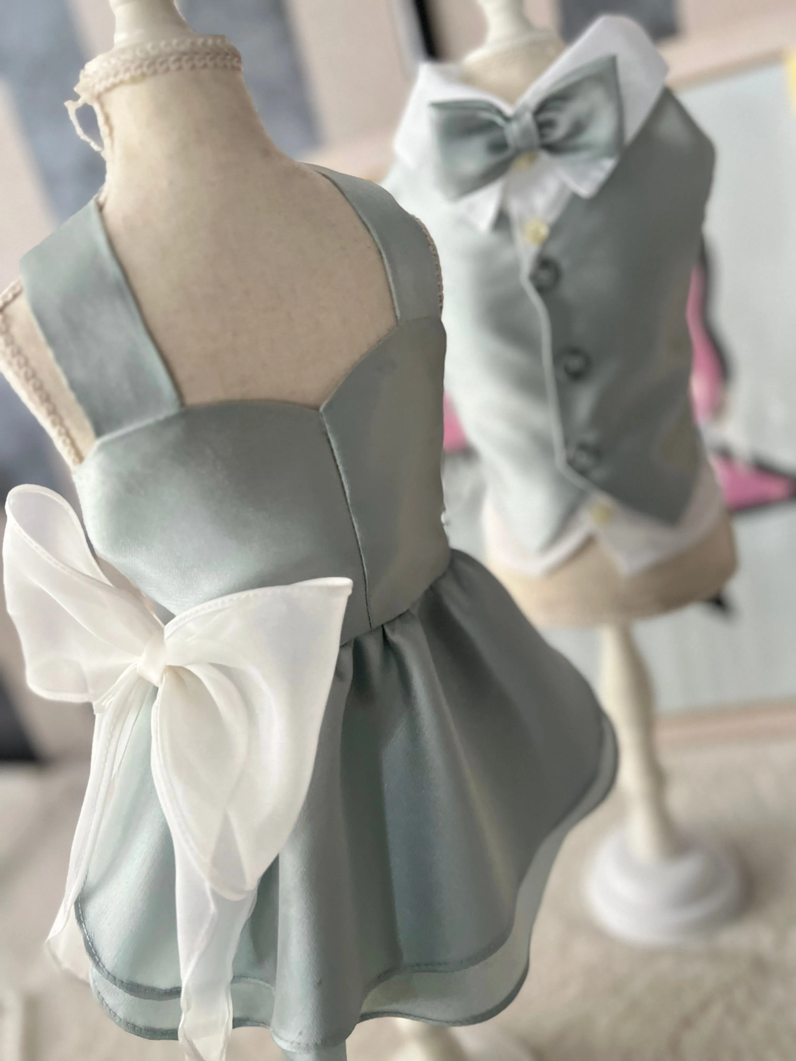 Aurora chic Dress