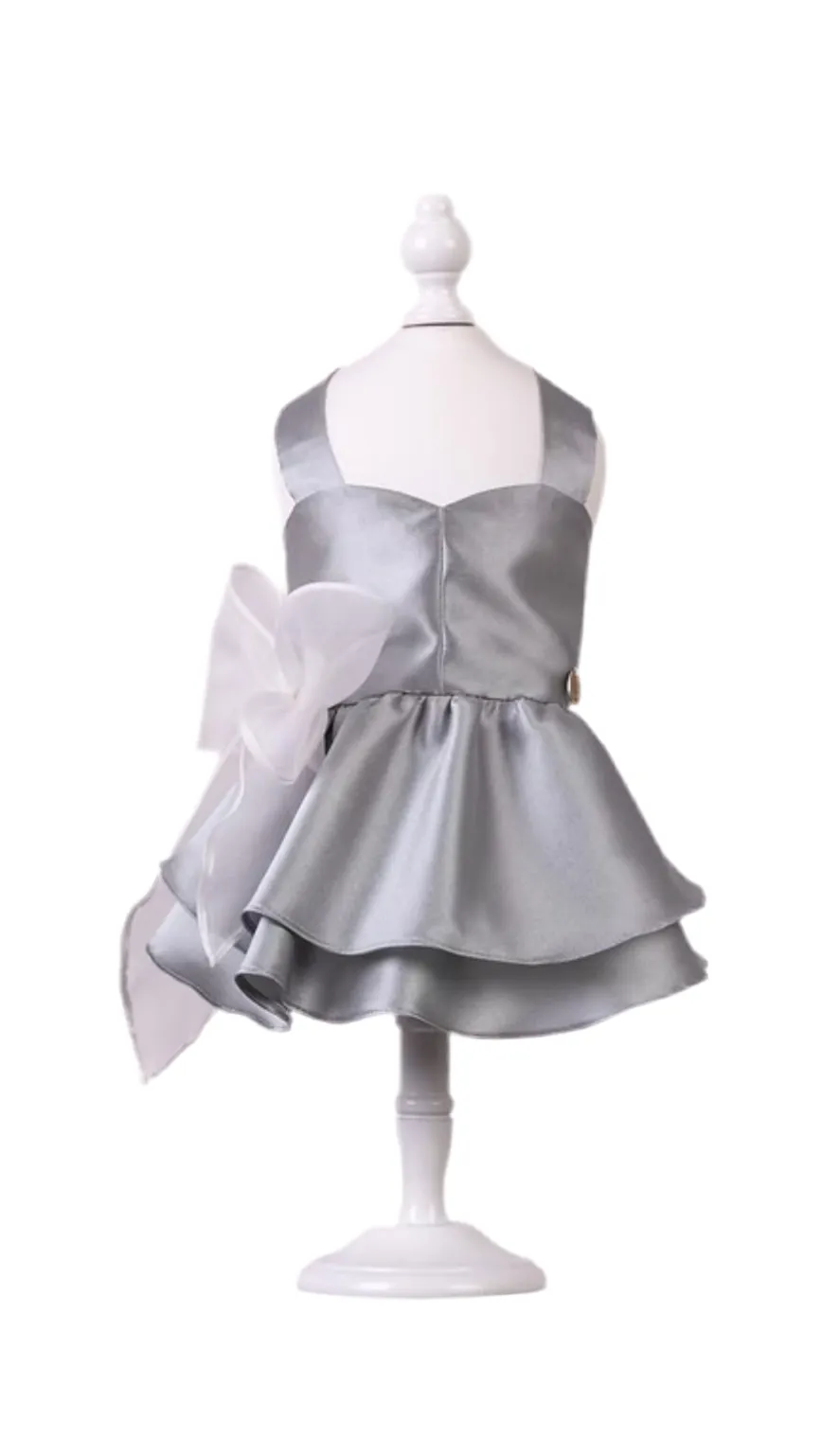 Aurora chic Dress